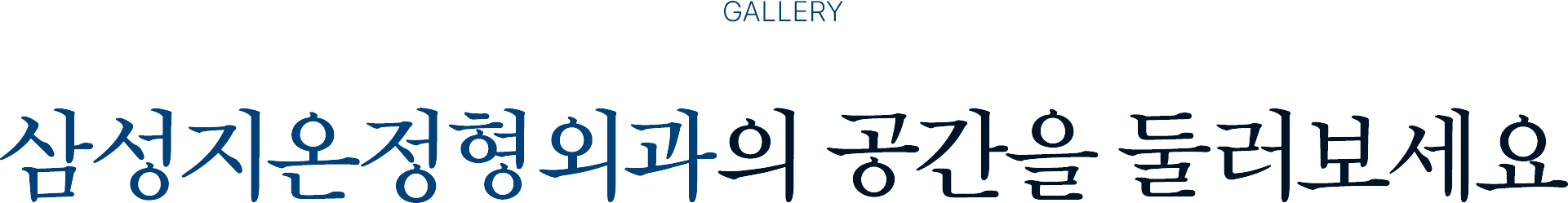 갤러리 타이틀